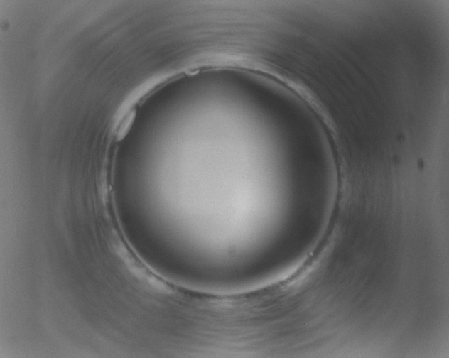 X0000052550904200507011127