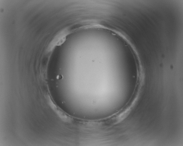 X0000052550905200507011127