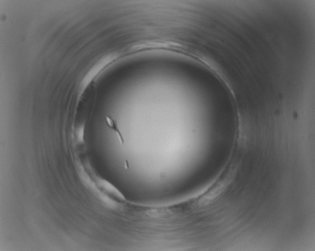 X0000052550906200507011127