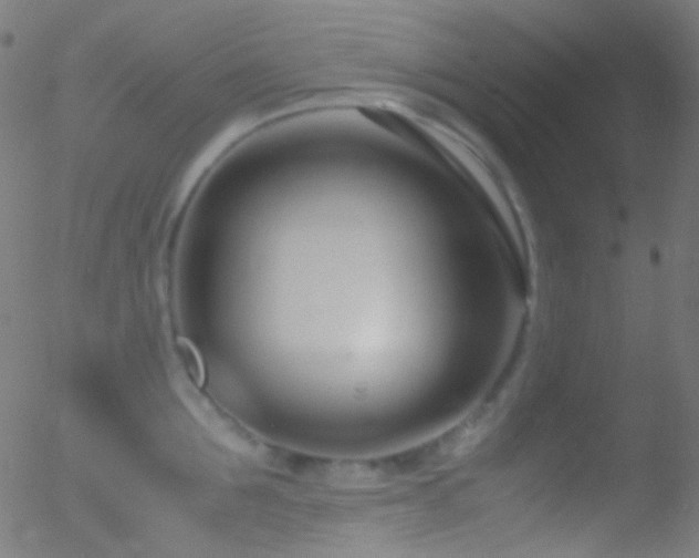 X0000052550907200507011127