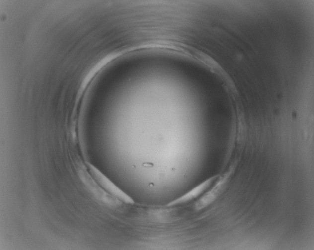 X0000052550908200507011127