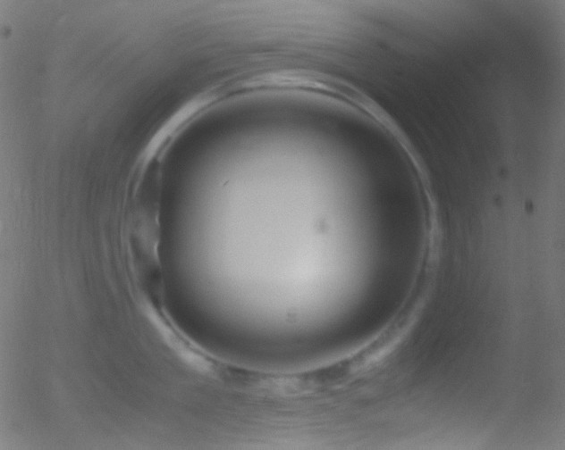 X0000052550909200507011127