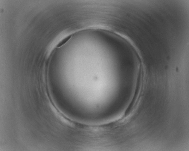 X0000052550910200507011127