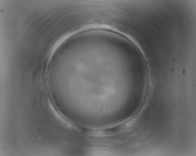 X0000052550911200507011127