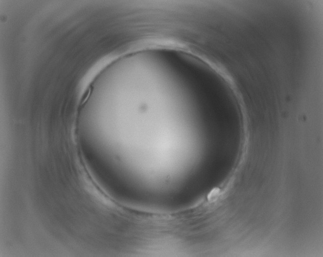 X0000052550912200507011127