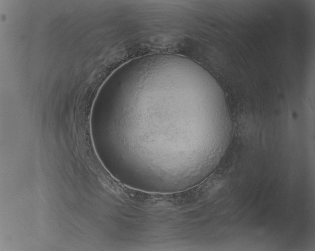 X0000052550913200507011126