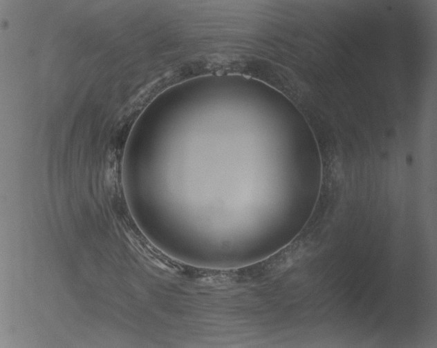 X0000052550914200507011126