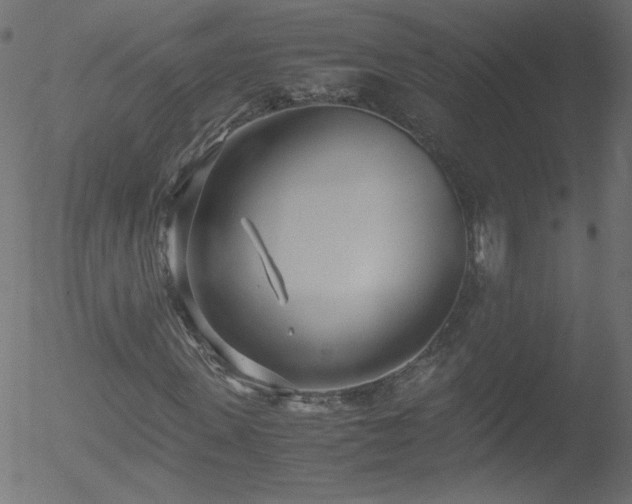 X0000052550915200507011126