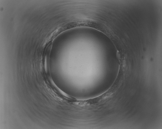 X0000052550916200507011126