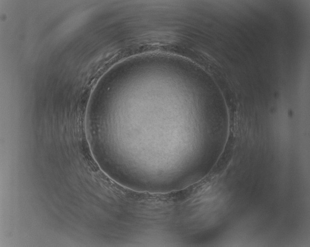 X0000052550917200507011126