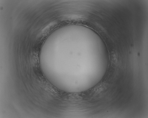 X0000052550918200507011126