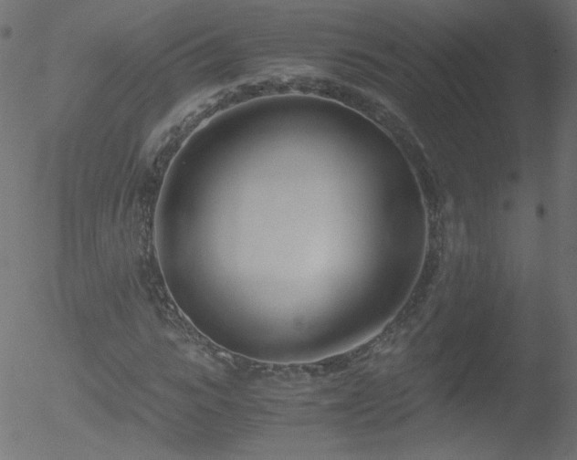 X0000052550919200507011126