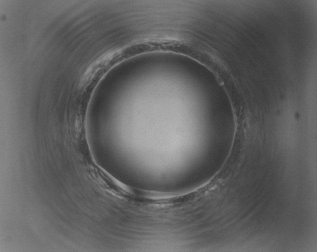 X0000052550920200507011126