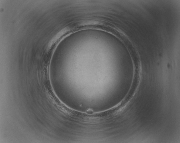 X0000052550921200507011126