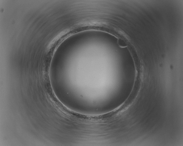 X0000052550922200507011126