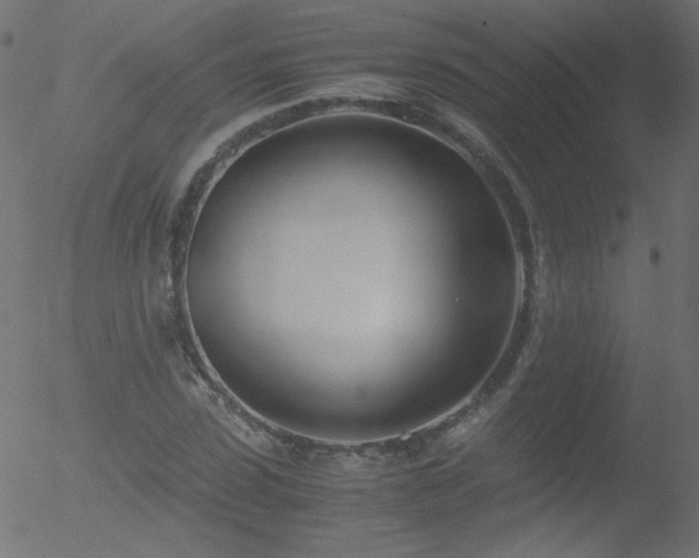 X0000052550923200507011126