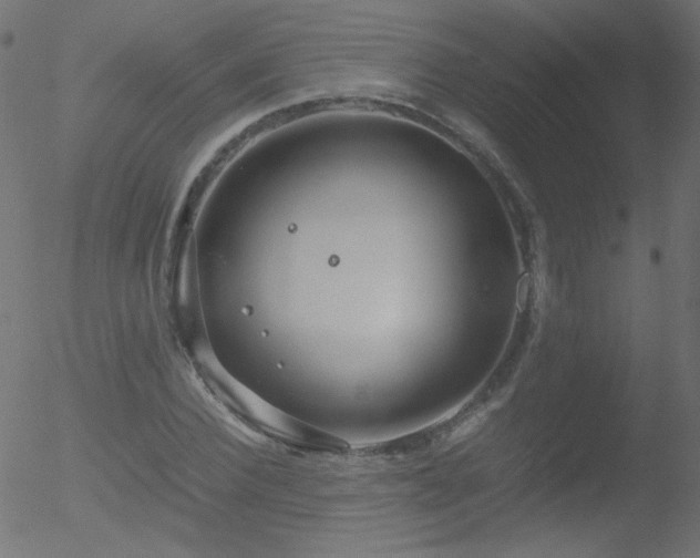 X0000052550924200507011126