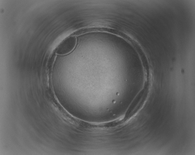 X0000052550925200507011126