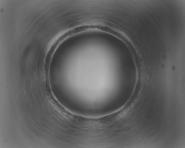 X0000052550927200507011126