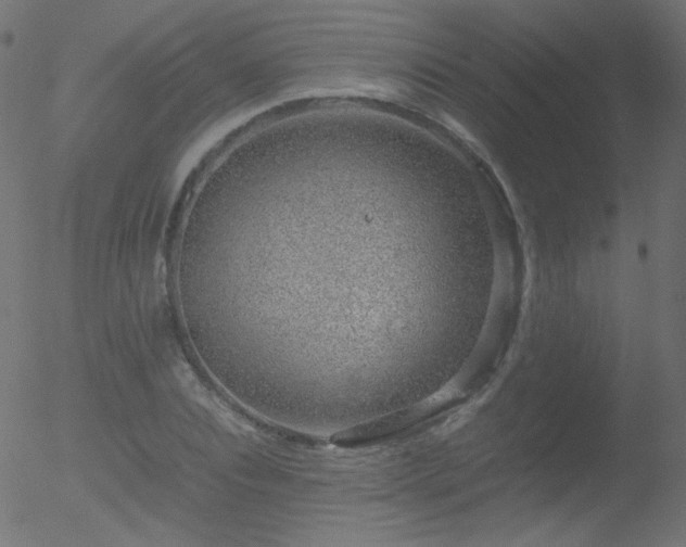 X0000052550928200507011126