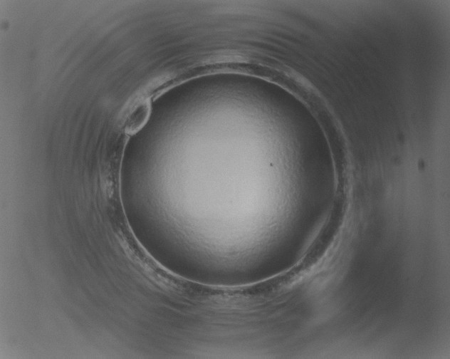 X0000052550929200507011127