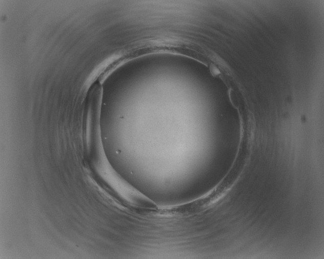 X0000052550930200507011127