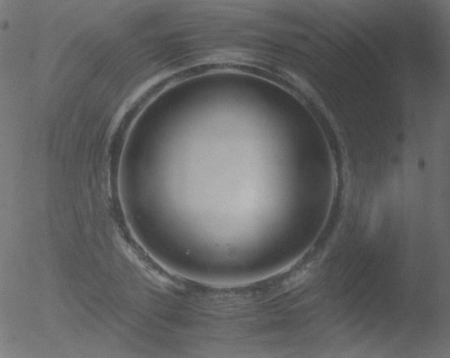 X0000052550931200507011127