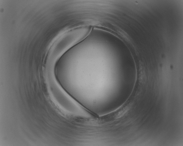 X0000052550932200507011127