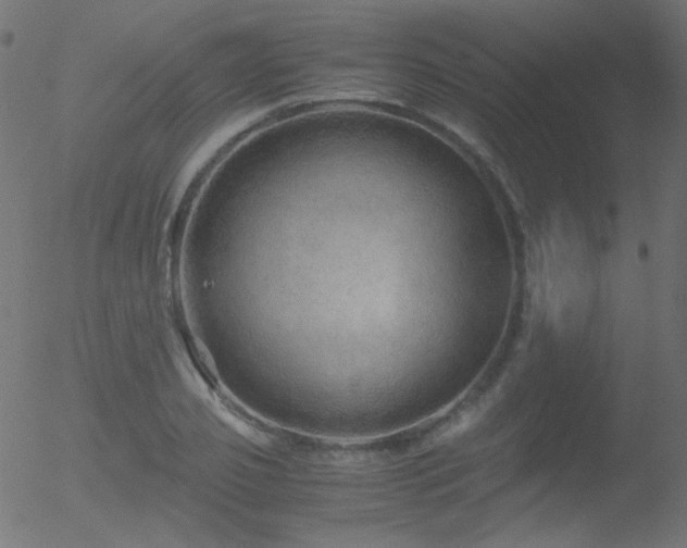 X0000052550933200507011127