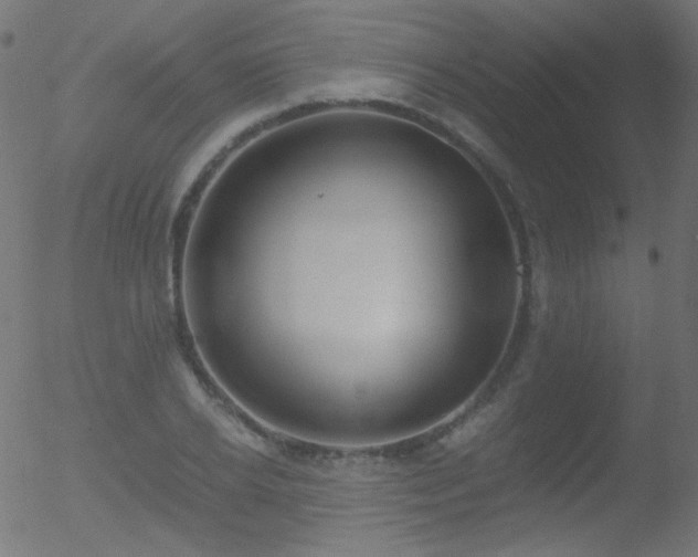 X0000052550934200507011127