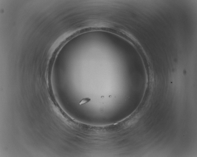 X0000052550935200507011127