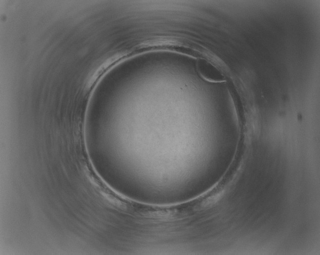 X0000052550937200507011127