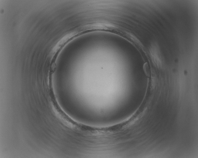 X0000052550938200507011127