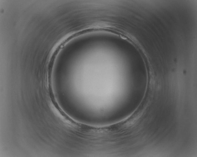 X0000052550939200507011127