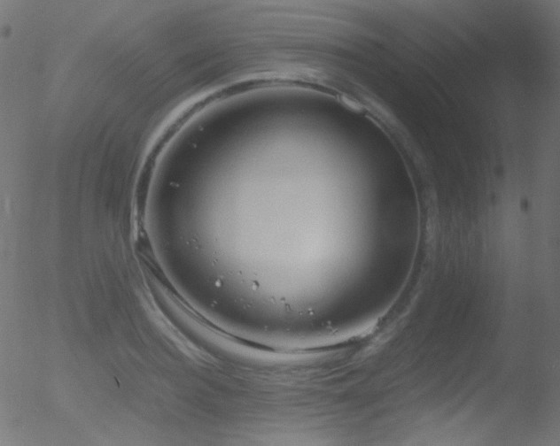 X0000052550940200507011127