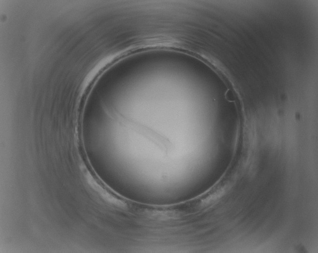 X0000052550941200507011127