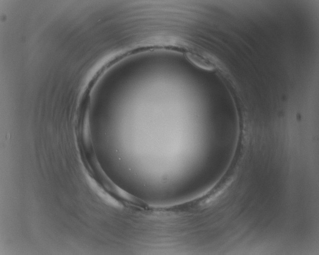 X0000052550942200507011127