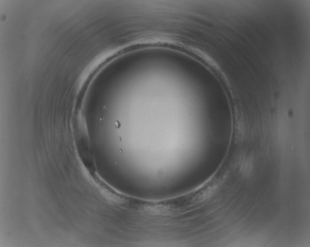 X0000052550943200507011127