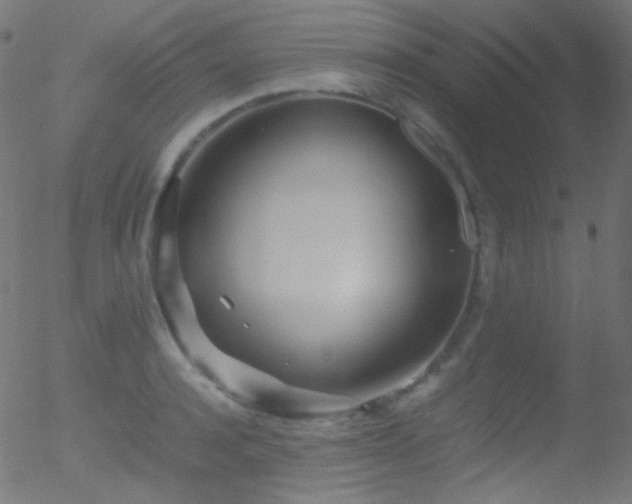 X0000052550944200507011127