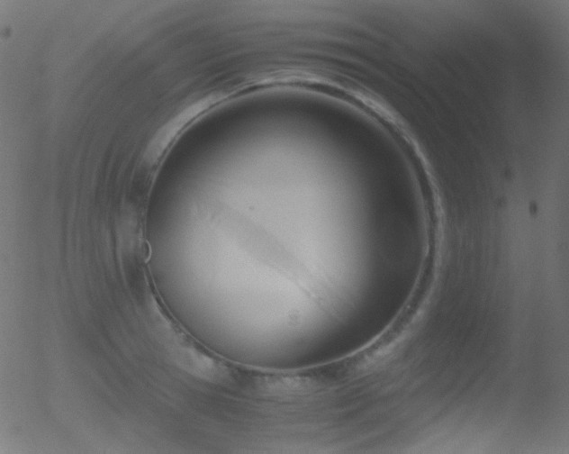 X0000052550945200507011127