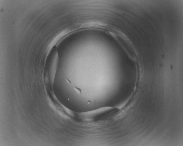 X0000052550946200507011127