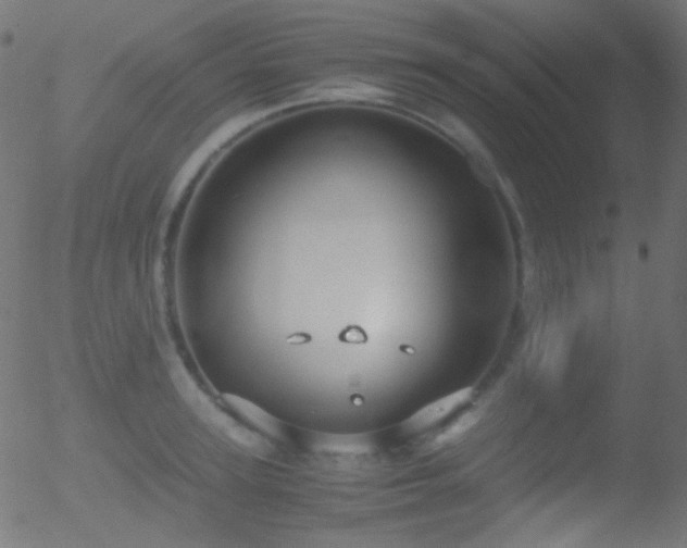 X0000052550947200507011127