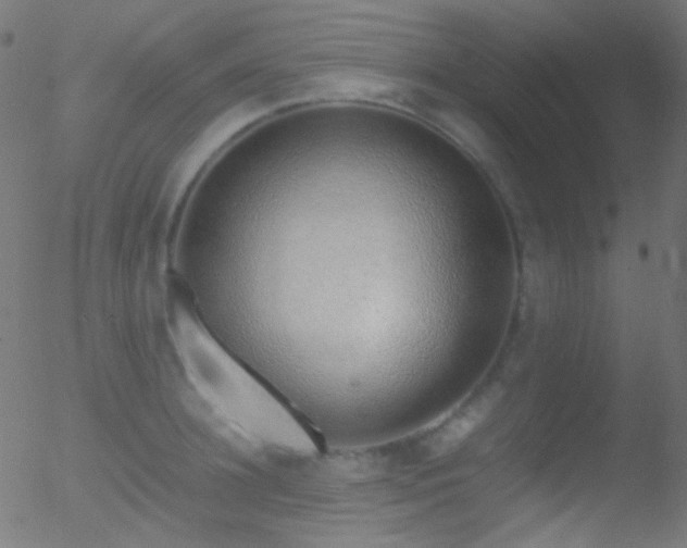 X0000052550948200507011127