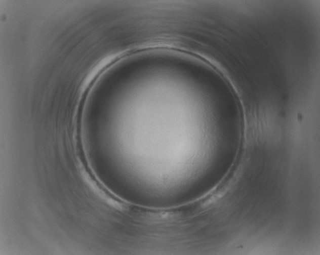 X0000052550949200507011127