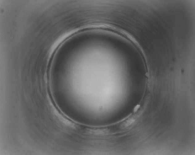 X0000052550951200507011127