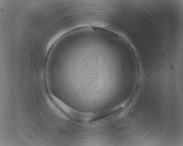 X0000052550952200507011127