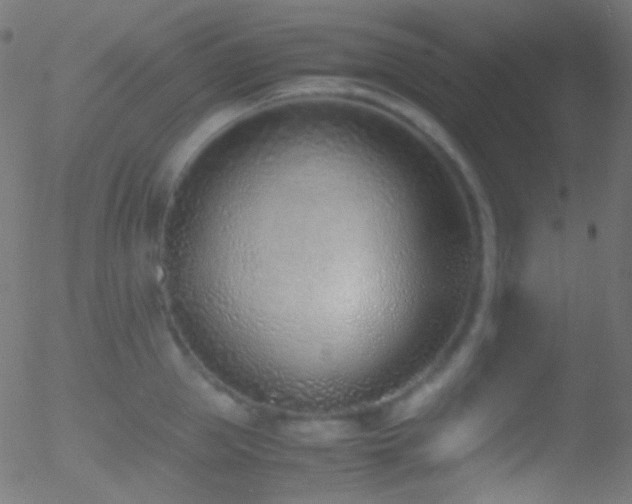 X0000052550953200507011127