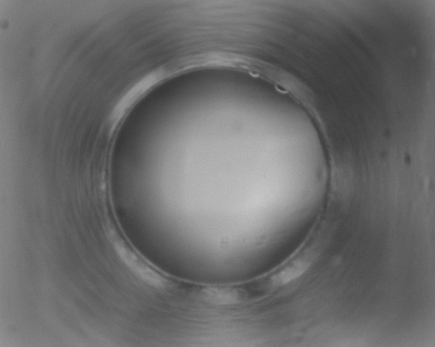 X0000052550954200507011127