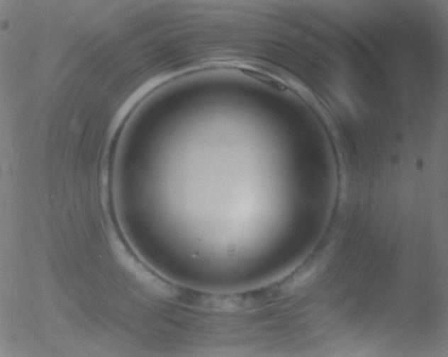 X0000052550955200507011127