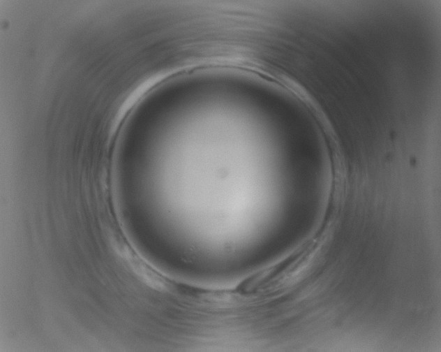 X0000052550956200507011127